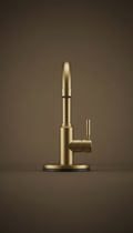 Brushed Brass Kitchen Faucet